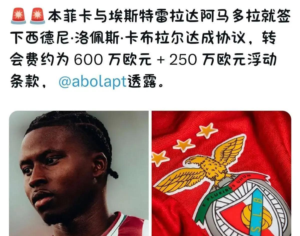 国际比赛日足总杯传出新动向；本菲卡官宣签约；管理层表态：管理层满意；身体对抗强度拉满的简单介绍